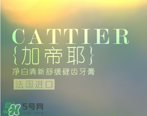 cattier加帝耶是什么牌子？法國cattier什么檔次？
