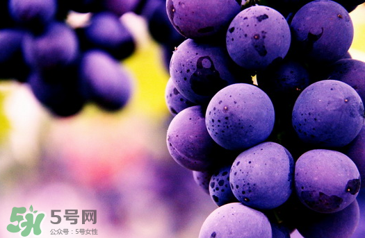 夏黑葡萄多少錢一斤？夏黑葡萄怎么挑選？