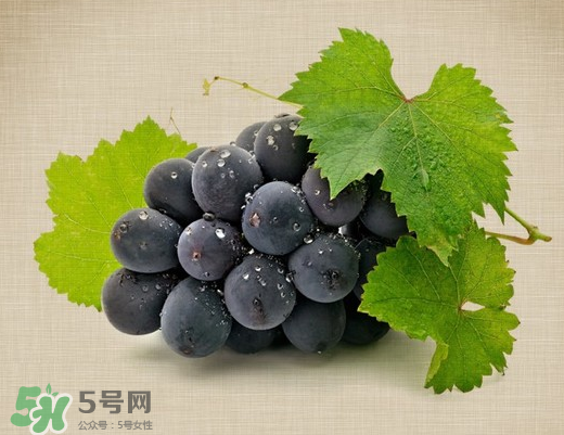 夏黑葡萄多少錢一斤？夏黑葡萄怎么挑選？