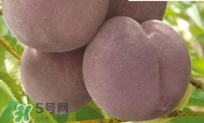 黑桃是什么水果？吃黑桃有什么好處？