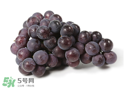巨峰和夏黑哪個好吃？哪個貴？有什么區別？