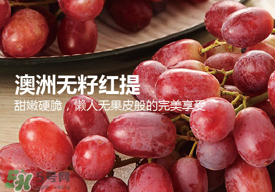 ?無籽紅提?孕婦能吃嗎吃嗎？孕婦能不能吃無籽紅提？