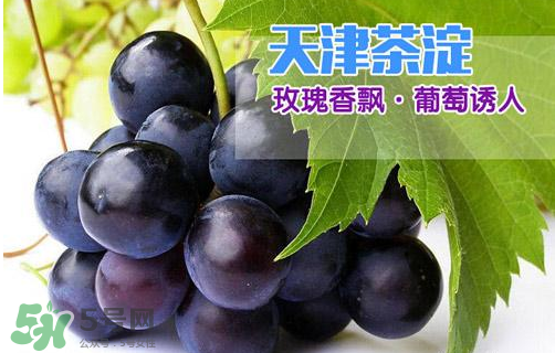 玫瑰香葡萄多少錢一斤？玫瑰香葡萄多少錢一斤2017？