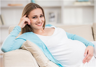 篙苞孕婦能吃嗎？孕婦能不能吃篙苞？