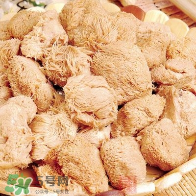 猴頭菇怎樣吃治胃??？猴頭菇能治胃病嗎？