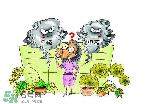 甲醛怎么治理？除甲醛最有效方法