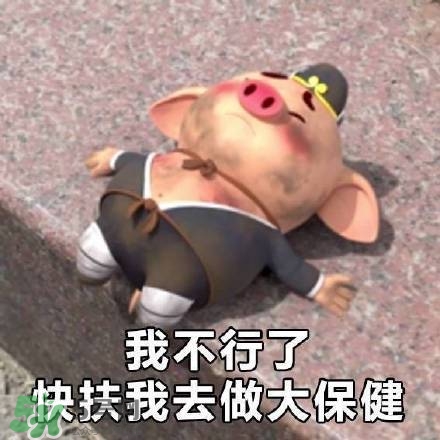 豬小屁表情包是什么？豬小屁表情包為什么這么火？