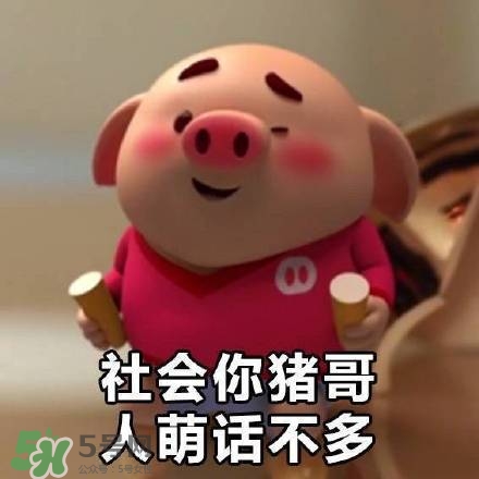 豬小屁表情包是什么？豬小屁表情包為什么這么火？