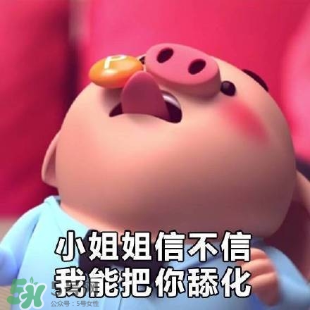 豬小屁表情包是什么？豬小屁表情包為什么這么火？