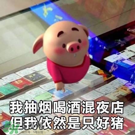 豬小屁表情包是什么？豬小屁表情包為什么這么火？