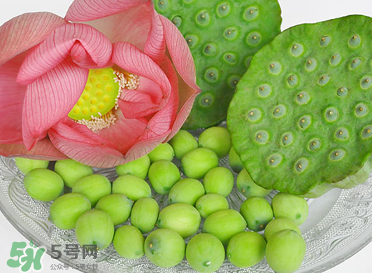 蓮蓬是水果嗎？蓮蓬是水果還是蔬菜？