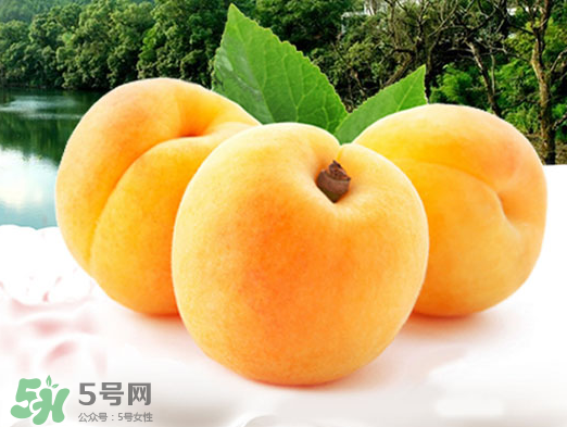 黃桃是酸性還是堿性？黃桃罐頭是酸性還是堿性？