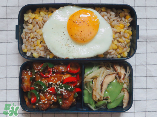 夏天用保溫盒帶飯會壞嗎？夏天能用保溫盒帶飯嗎？