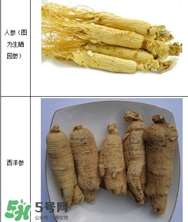 西洋參怎么吃效果最好？西洋參與人參的區別