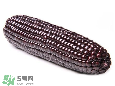 紫玉米會(huì)掉色嗎？紫玉米怎么會(huì)掉色？