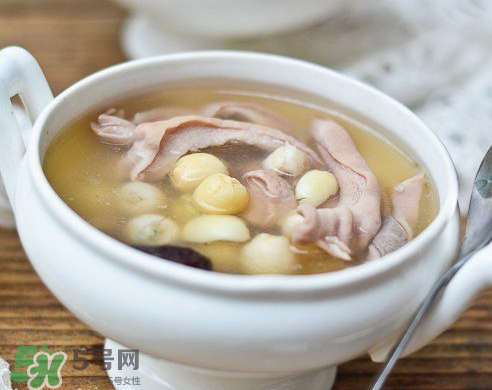 新鮮蓮子可以燉湯嗎？新鮮蓮子怎么煲湯？