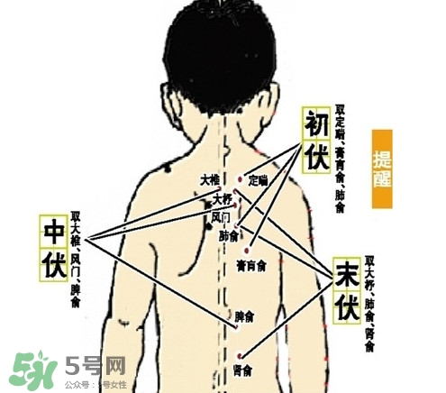 三九灸和三伏灸有什么區別？做完三伏灸要注意什么？
