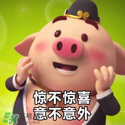 豬小屁表情包是什么？豬小屁表情包為什么這么火？