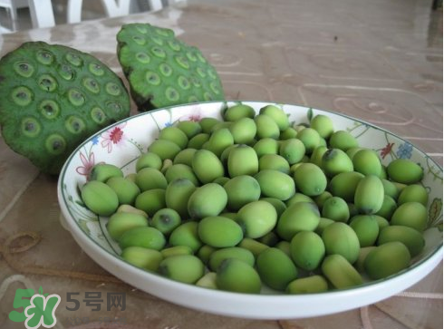 新鮮蓮子多少錢一斤？新鮮蓮子哪里有賣？