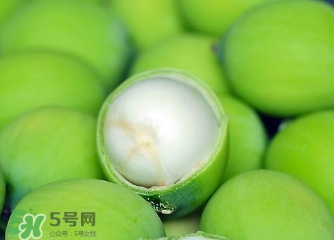 新鮮蓮子多少錢一斤？新鮮蓮子哪里有賣？