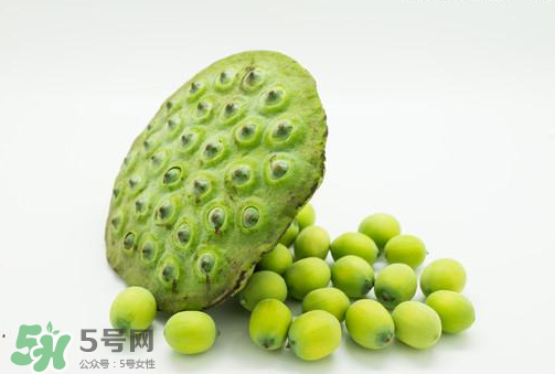 新鮮蓮子可以直接吃嗎？生蓮子可以直接吃嗎？