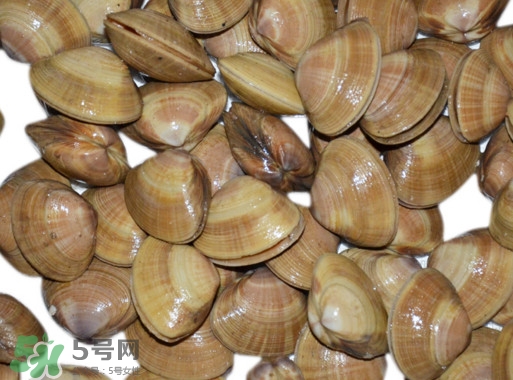 蜆子是花甲嗎？蜆子是海鮮嗎？