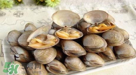 蜆子是寒性的嗎？蜆子什么人不能吃