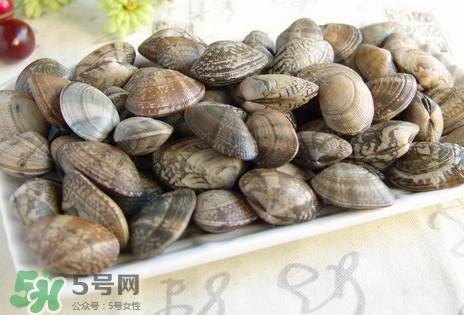黃蜆子和花蜆子哪個好？黃蜆子和花蜆子的區別