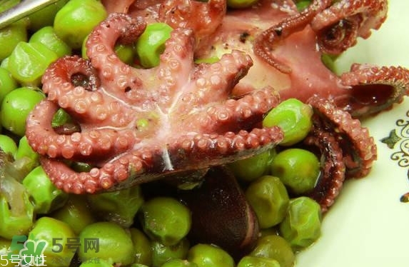 八爪魚多少錢一斤？章魚多少錢一斤