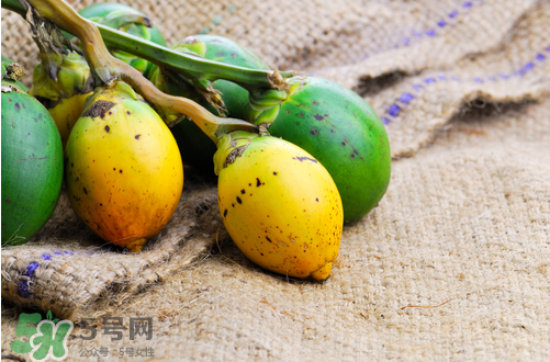 檳榔什么味道？正宗的檳榔是什么味道？