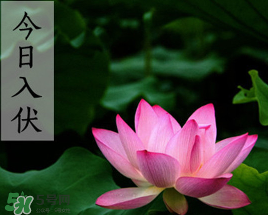 2017年頭伏是幾月幾號？2017年入伏第一天是幾月幾號？