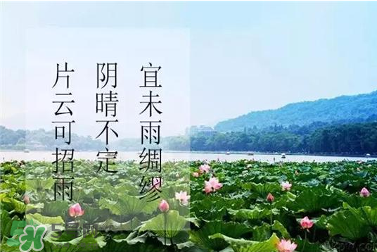2017年幾月幾號入伏？入伏是幾月幾號2017？