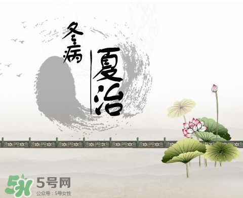 2017年三伏貼什么時候貼？2017年三伏貼貼幾天？