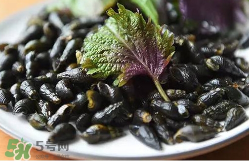 紫蘇是什么植物？紫蘇是發物嗎？