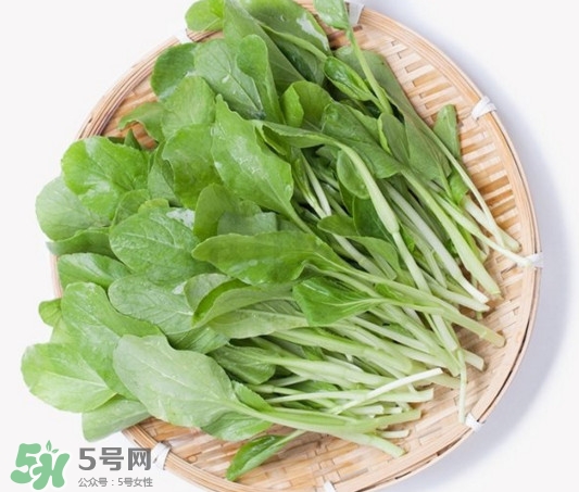 雞毛菜有什么營(yíng)養(yǎng)價(jià)值？雞毛菜的功效與作用