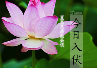 2017年幾月幾號入伏？入伏是幾月幾號2017？