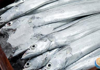 帶魚是深海魚嗎？帶魚是海鮮嗎