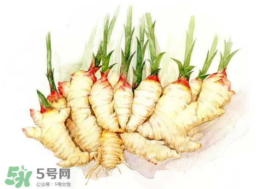 7月份可以種生姜嗎？生姜幾月份種植？