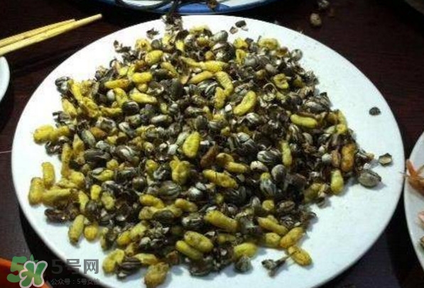 洋辣子是什么？洋辣子能吃嗎？
