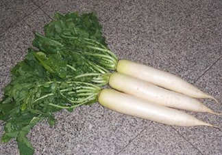頭伏蘿卜二伏菜是什么意思？頭伏種什么菜？