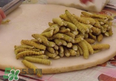 豆丹做菜前怎么處理干凈？豆丹怎么養殖