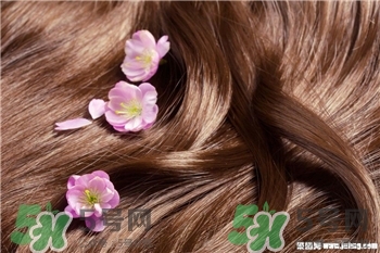 護發的食物有哪些?吃什么護發?