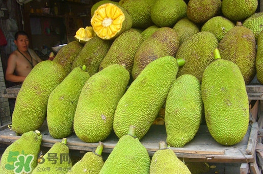 木菠蘿買來怎么吃？木菠蘿吃多了會怎樣？