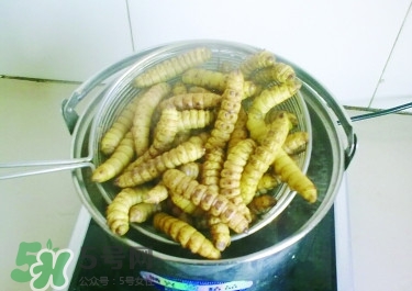 豆丹做菜前怎么處理干凈？豆丹怎么養殖