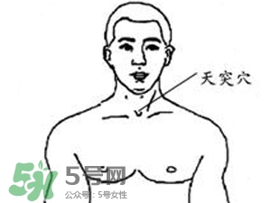三伏貼能治過敏性鼻炎嗎？三伏貼治過敏性鼻炎貼哪里？
