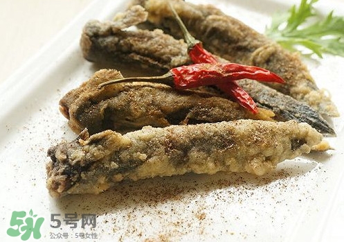 彈涂魚是兩棲動物嗎？彈涂魚營養價值有哪些