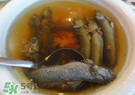 跳跳魚多少錢一斤？跳跳魚是淡水魚嗎？
