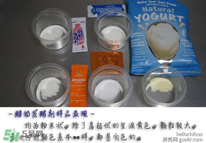 酸奶發酵菌哪種好？酸奶制作注意事項