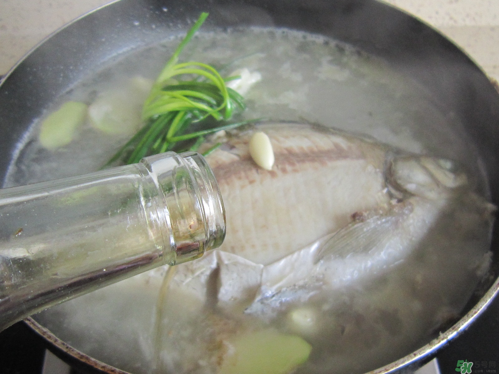 三伏灸可以吃魚嗎？三伏灸可以吃什么魚？