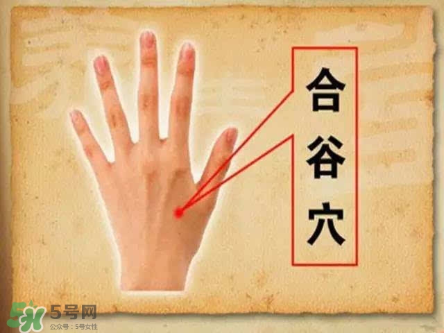 三伏灸可以去除體內濕氣嗎？三伏灸可以去濕氣嗎？